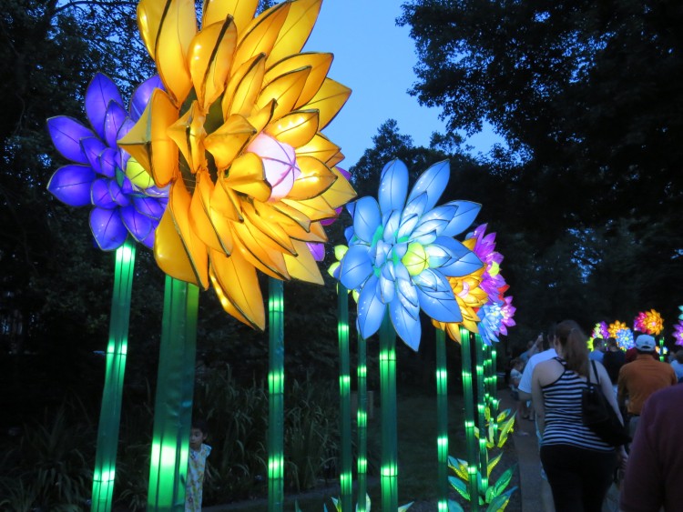 Missouri Botanical Gardens Lantern Festival Arch City Homes